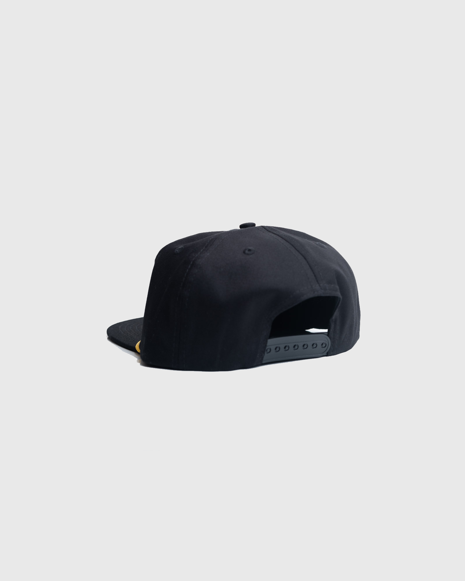 ALLIANCE CAPITAL 5 PANEL